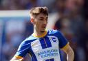 Billy Gilmour in action for Brighton