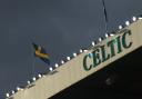 Celtic and the nation of Sweden have been synonymous in the club's recent history