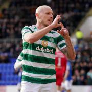 Aaron Mooy celebrates