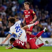 Matt O'Riley was forced off injured minutes into his Brighton debut