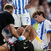 Matt O'Riley receiving treatment during his first match at Brighton